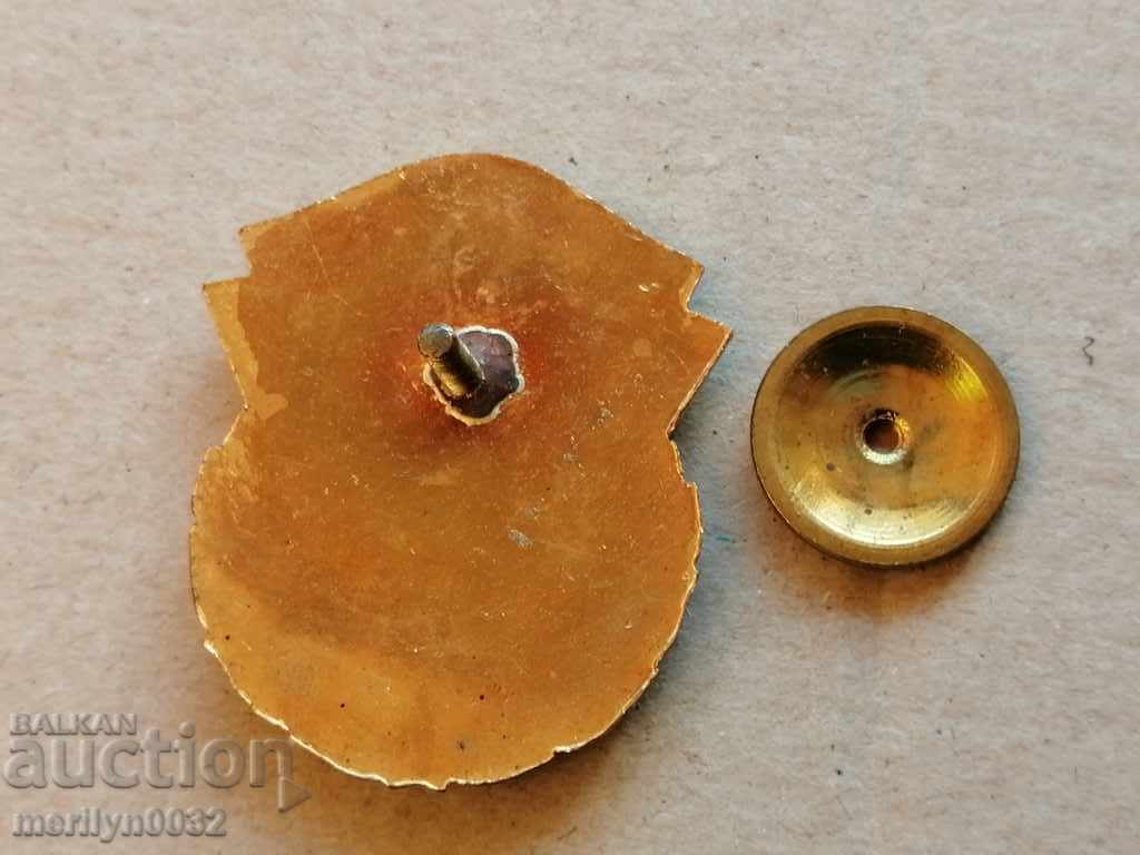 Breast Badge For Strenuous Labor enamel medal badge insignia - 6 Breast Badge For Strenuous Labor enamel medal badge insignia - 6