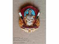 Semn de piept Pentru Muncă de Șoc email medalie ecuson insignă