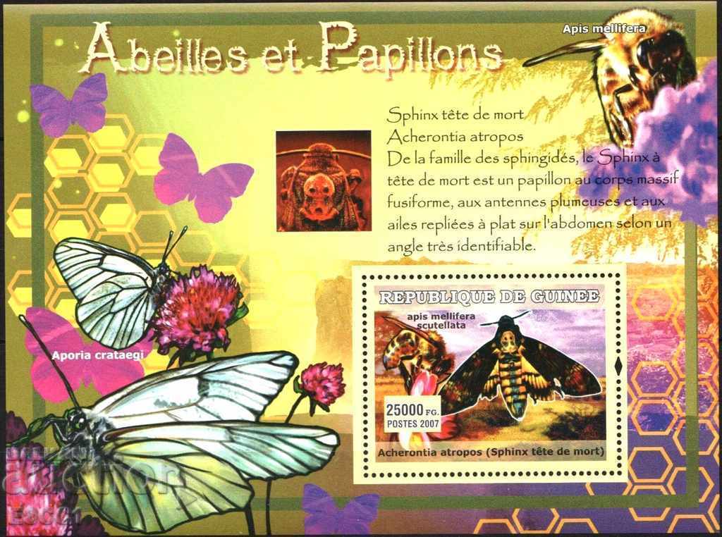 Pure Bee and Butterfly Fauna 2007 from Guinea