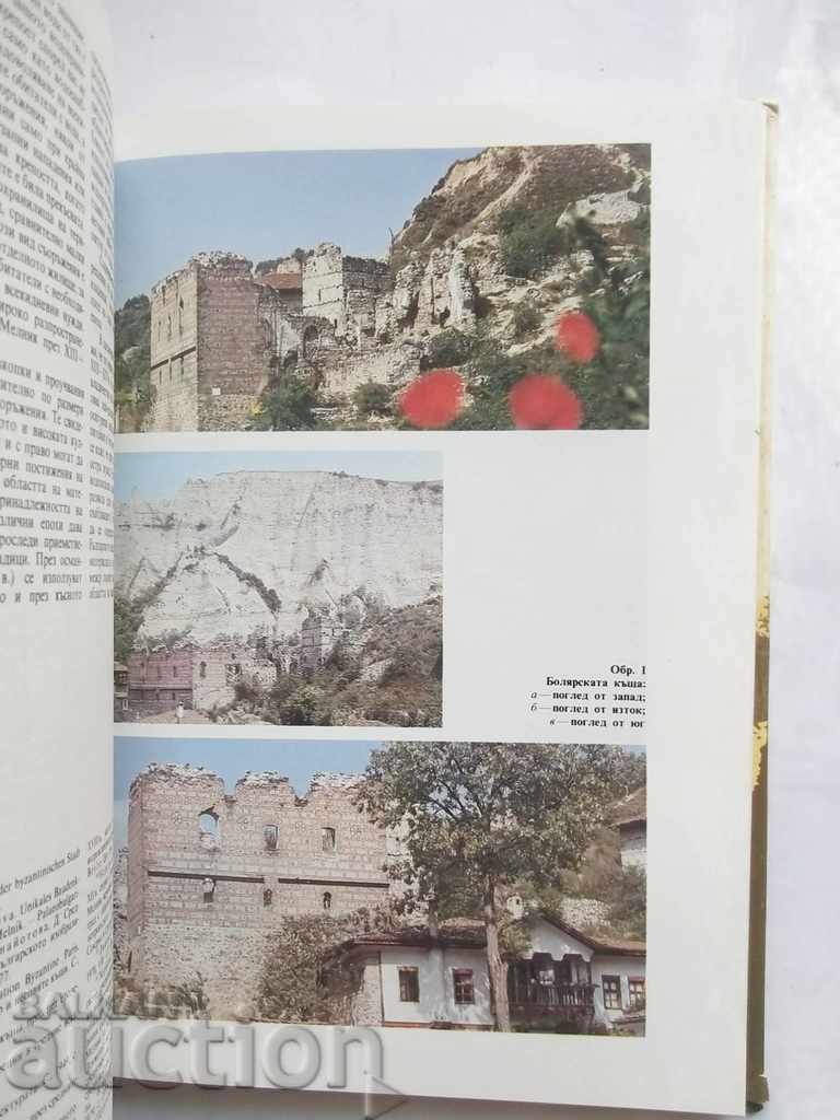 Auction Melnik. Vol. 1 Vladimir Penchev et al. 1989 Auction Melnik. Vol. 1 Vladimir Penchev et al. 1989