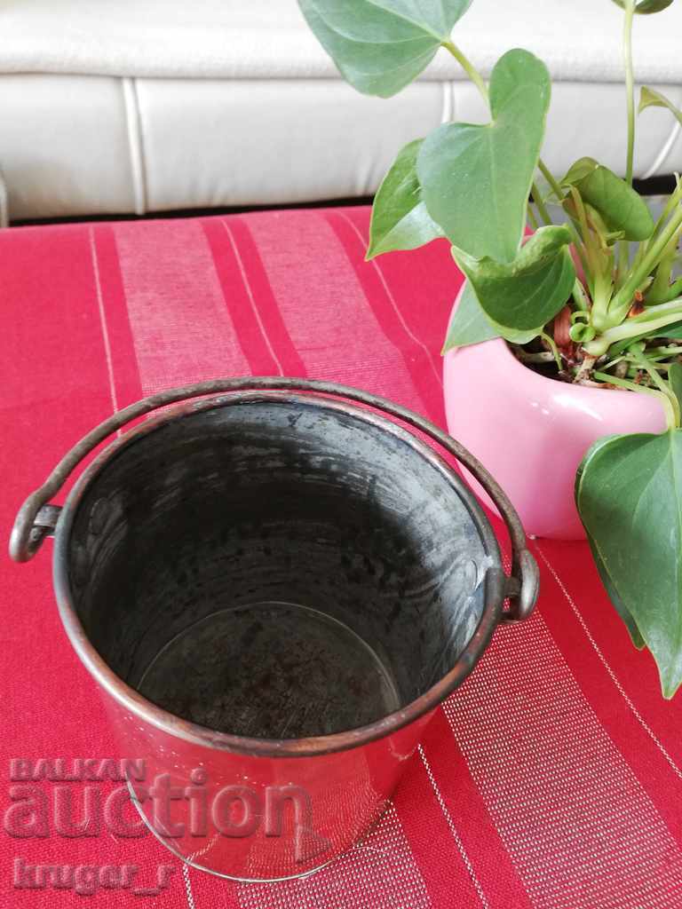 Auction Sugar cane Auction Sugar cane