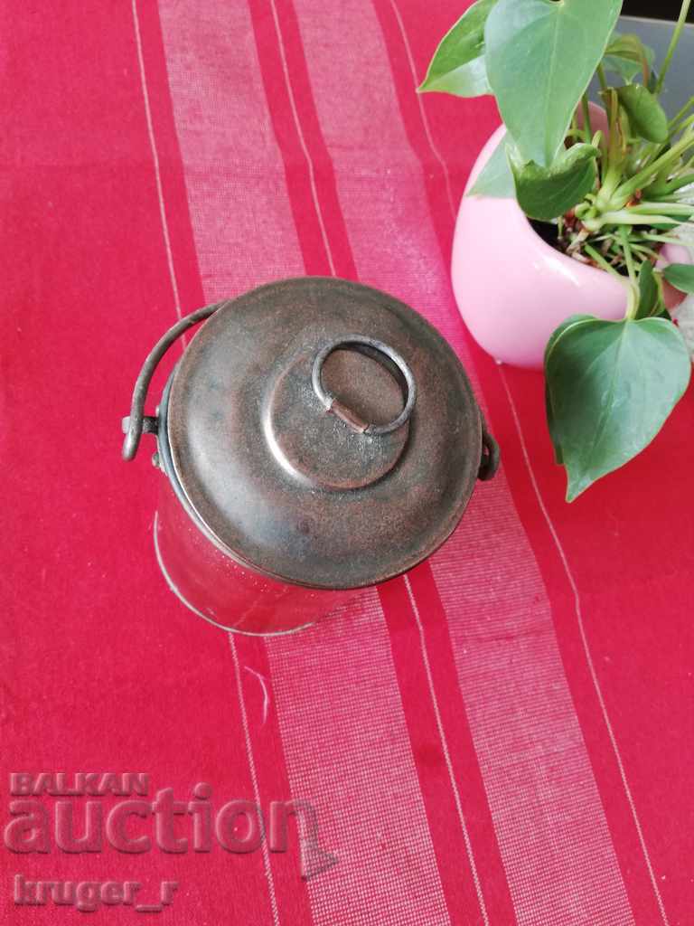 Trestie de zahăr - 6 Trestie de zahăr - 6