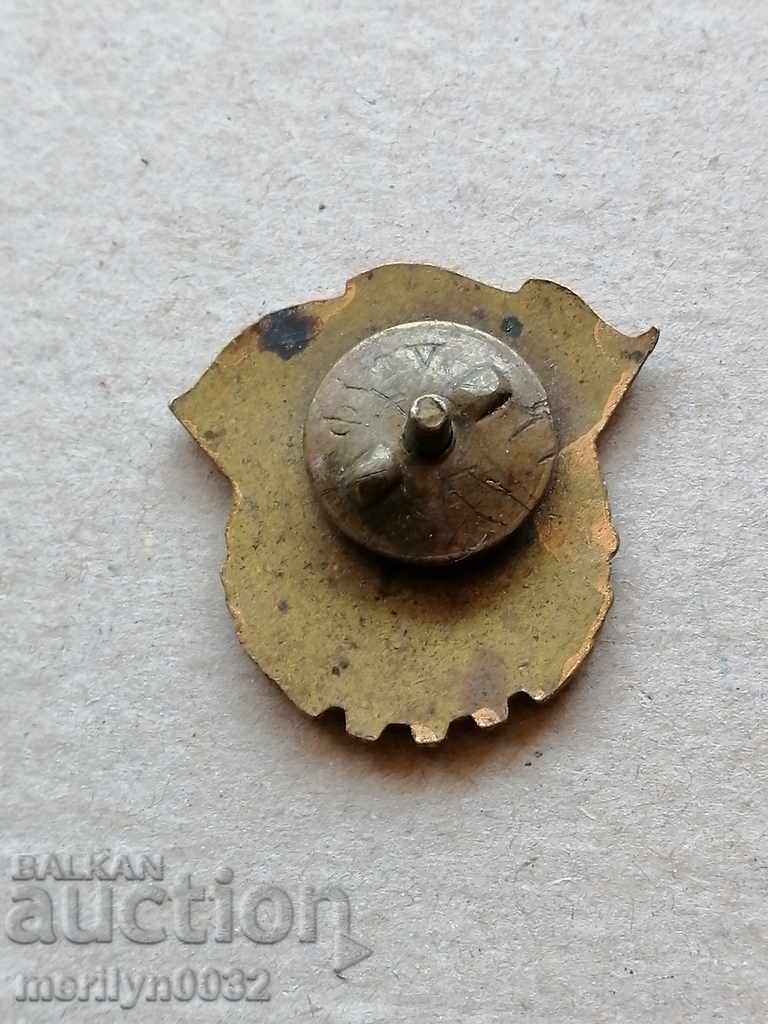 Breastplate Ready for Work and Defense Medal badge with price 41.00 BGN | € 20.96 Breastplate Ready for Work and Defense Medal badge with price 41.00 BGN | € 20.96