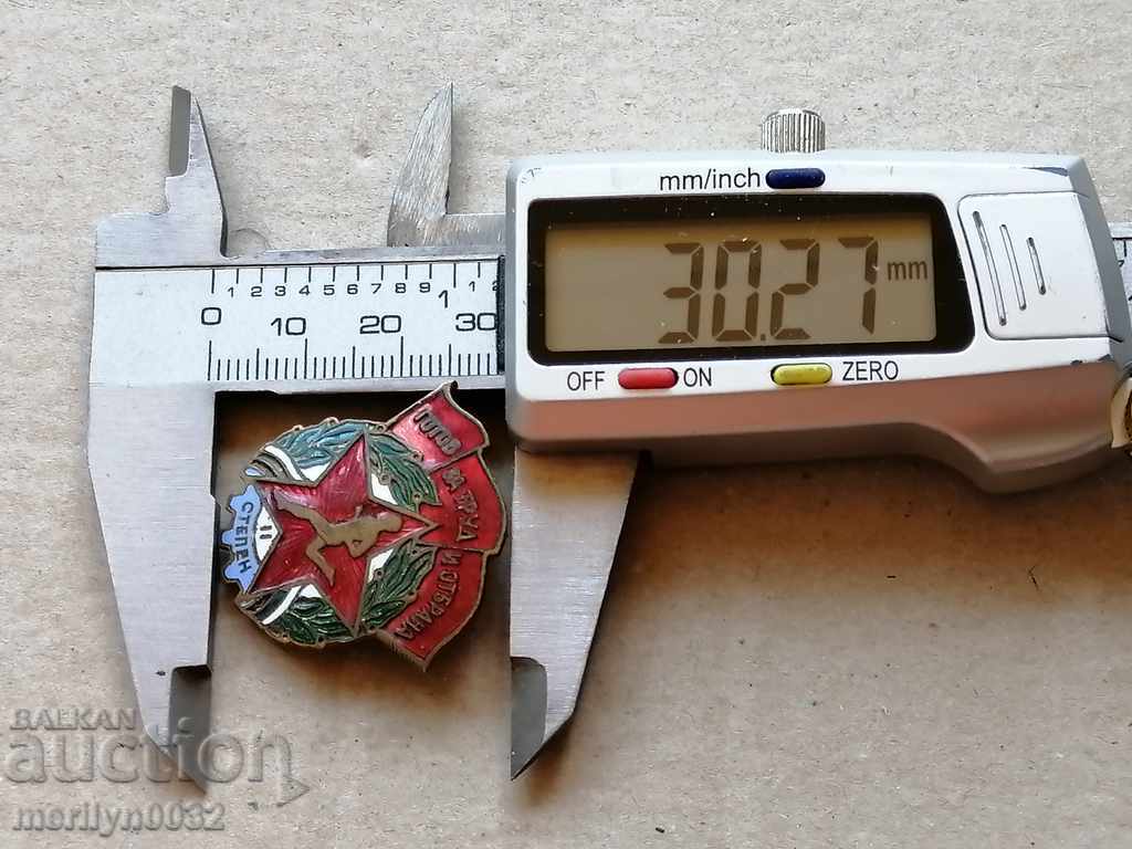 Delivery of Breastplate Ready for Work and Defense Medal badge Delivery of Breastplate Ready for Work and Defense Medal badge