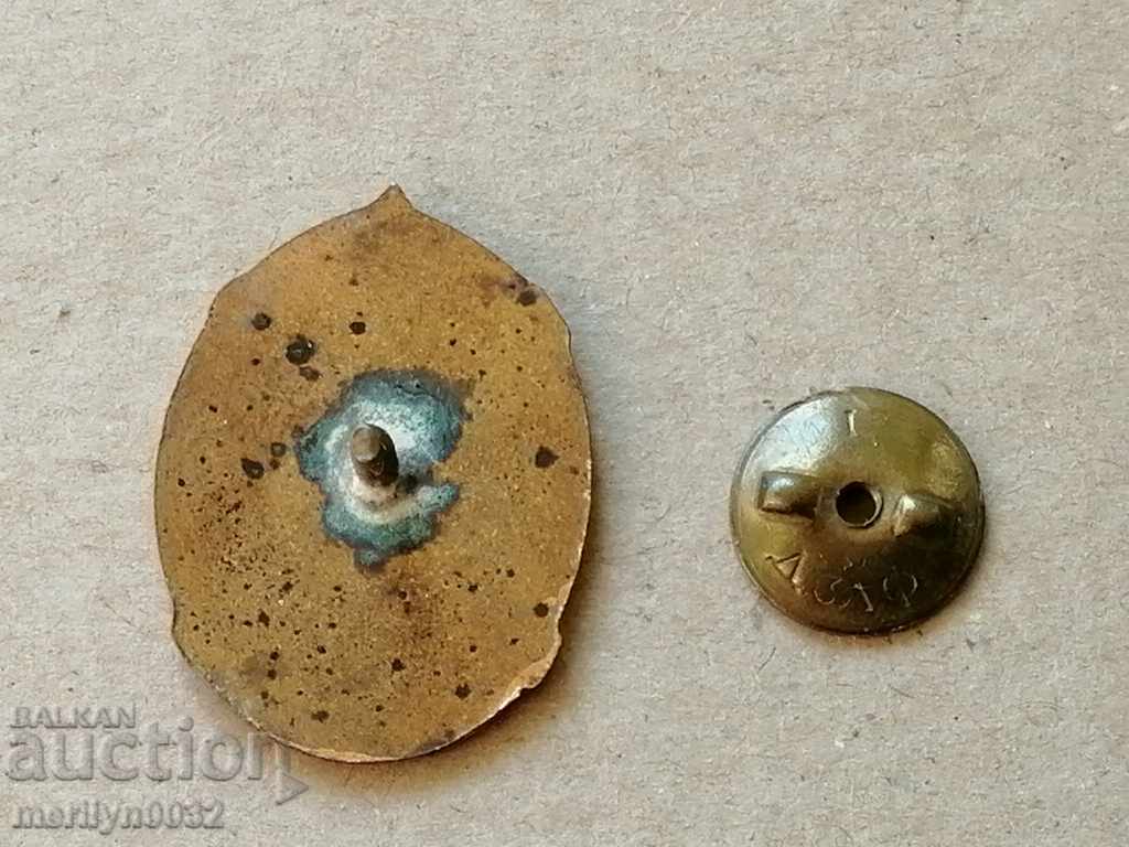 Auction Breastplate Young Nature Lover Medal Badge Auction Breastplate Young Nature Lover Medal Badge