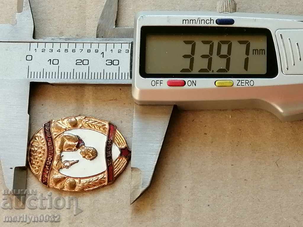 Breastplate Young Nature Lover Medal Badge - 5 Breastplate Young Nature Lover Medal Badge - 5