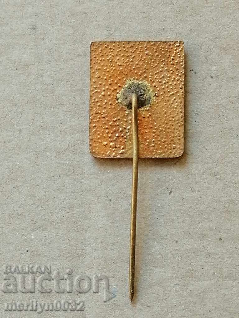 Breastplate Deer Mountain Stara Zagora Medal Badge with price 49.00 BGN | € 25.05