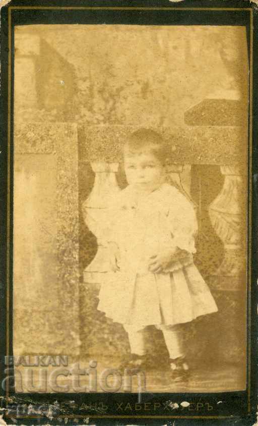 FOTOGRAFIE VECHE - STEPHAN HABERHAUER - PRUNE - M0339 FOTOGRAFIE VECHE - STEPHAN HABERHAUER - PRUNE - M0339