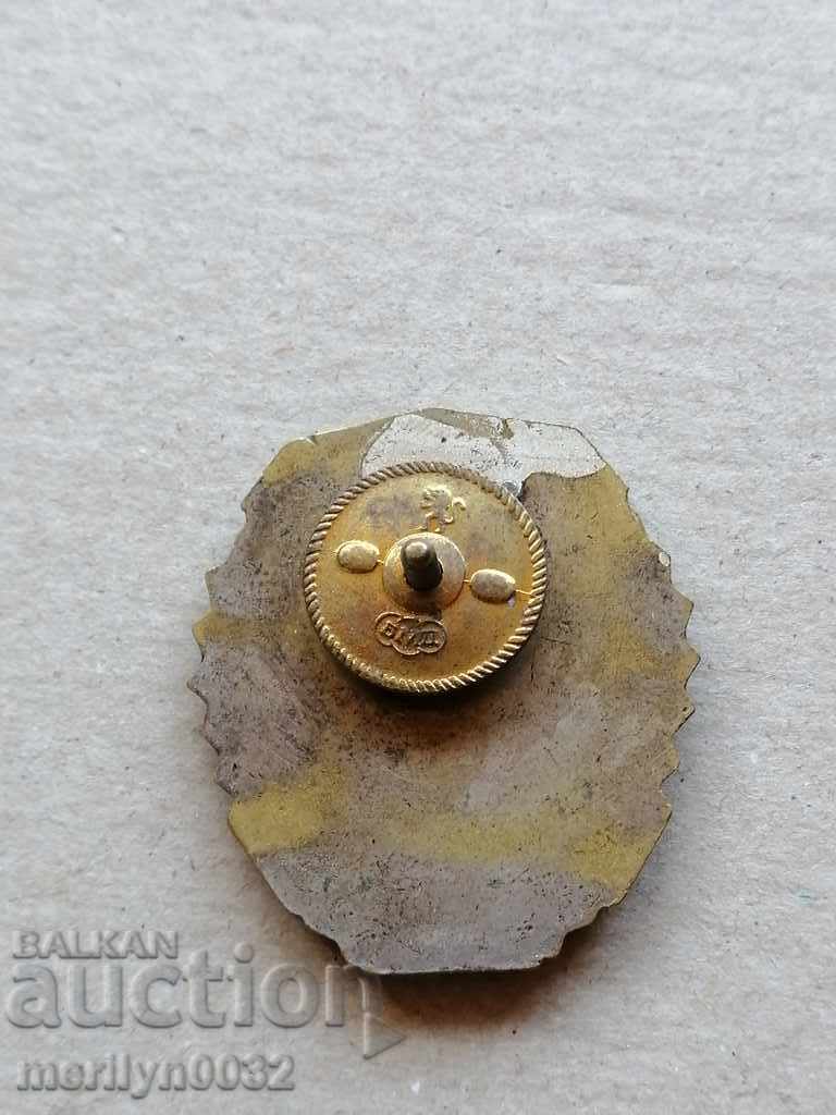 Πιστοποιητικό μετάλλων GV για σήμα αριστείας - 6