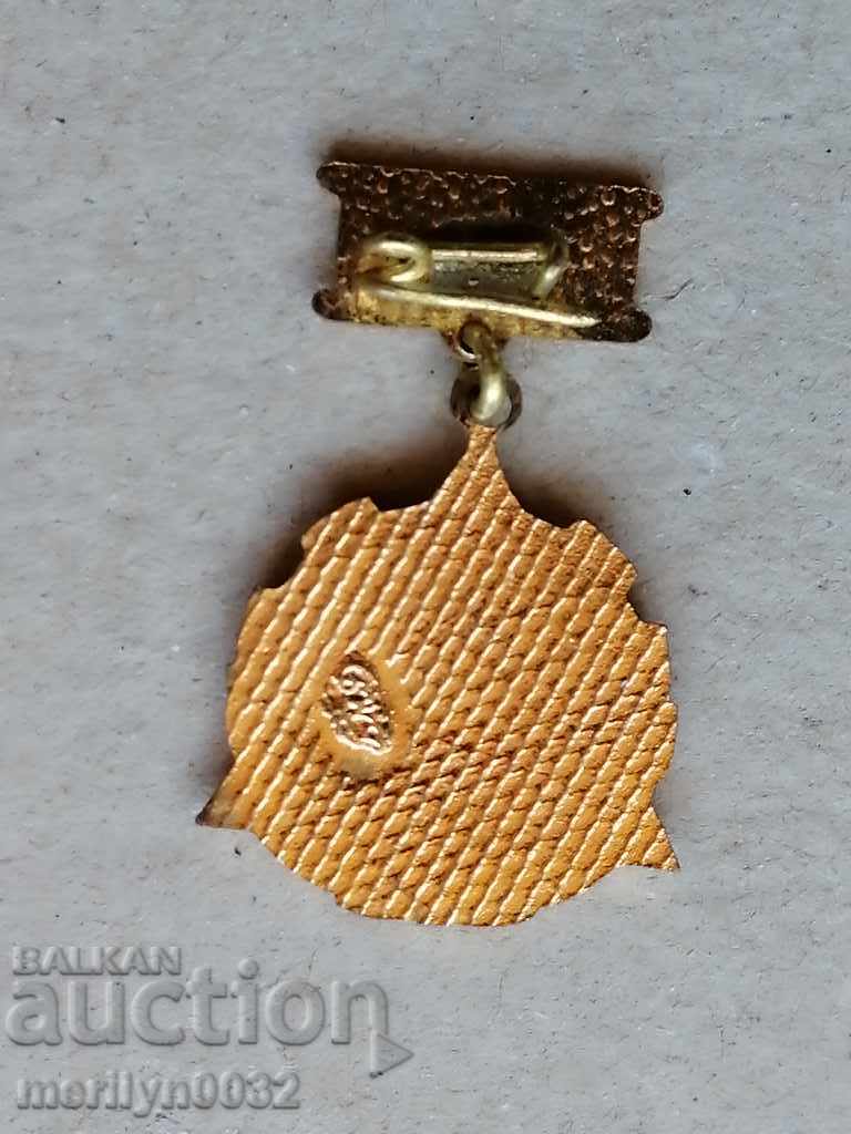 Breastplate Model Railroad Medal Badge with price 49.00 BGN | € 25.05