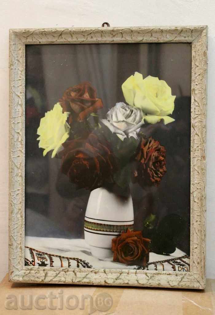 . EARLY SOTS PHOTOGRAPHY PAINTING Still life FRAME GLASS