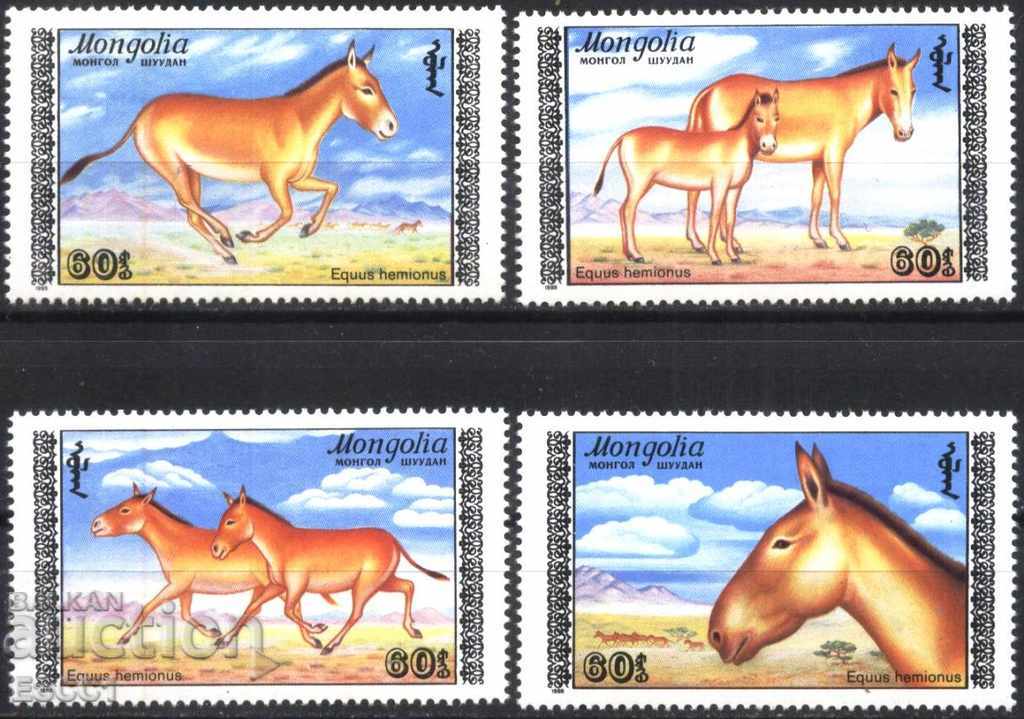 Pure brands Fauna Coolani Horses 1988 from Mongolia