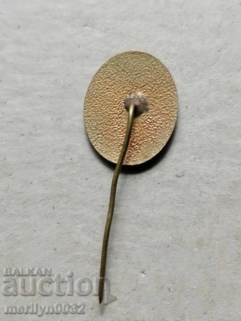 Auction Breastplate Medal Badge Badge Auction Breastplate Medal Badge Badge