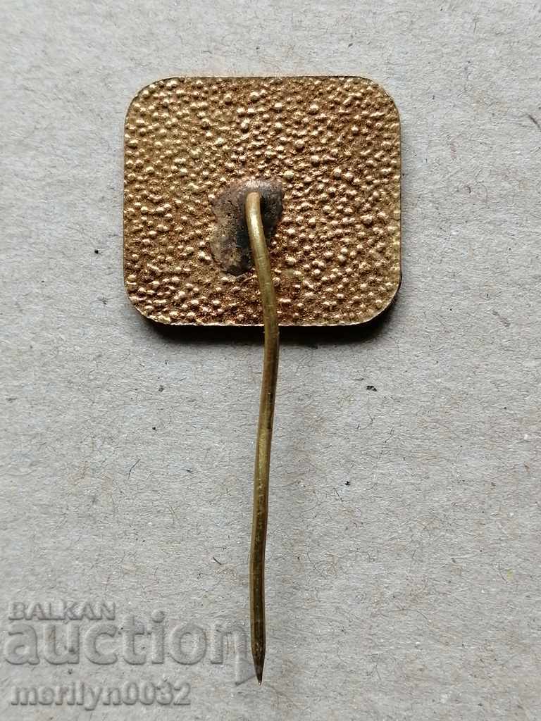 Breastplate Bull Federation Equestrian Sport Medal Badge with price 43.00 BGN | € 21.99 Breastplate Bull Federation Equestrian Sport Medal Badge with price 43.00 BGN | € 21.99