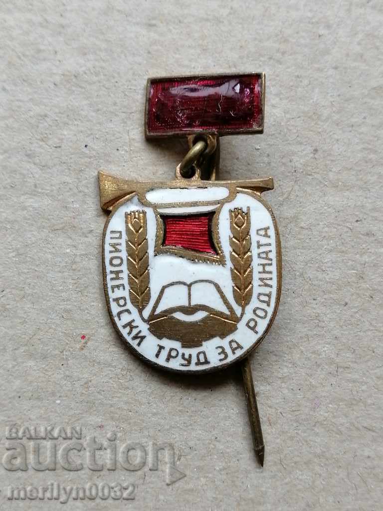 Auction Birthday Badge Pioneer Work for the Motherland Medal Badge Auction Birthday Badge Pioneer Work for the Motherland Medal Badge