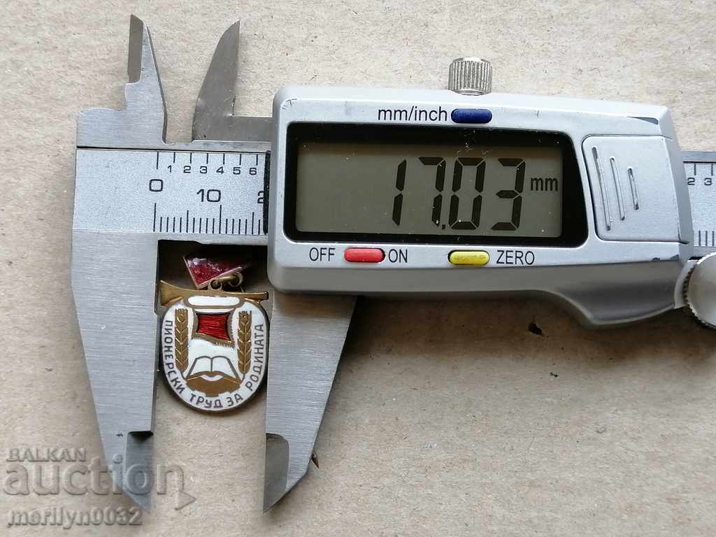 Delivery of Birthday Badge Pioneer Work for the Motherland Medal Badge Delivery of Birthday Badge Pioneer Work for the Motherland Medal Badge