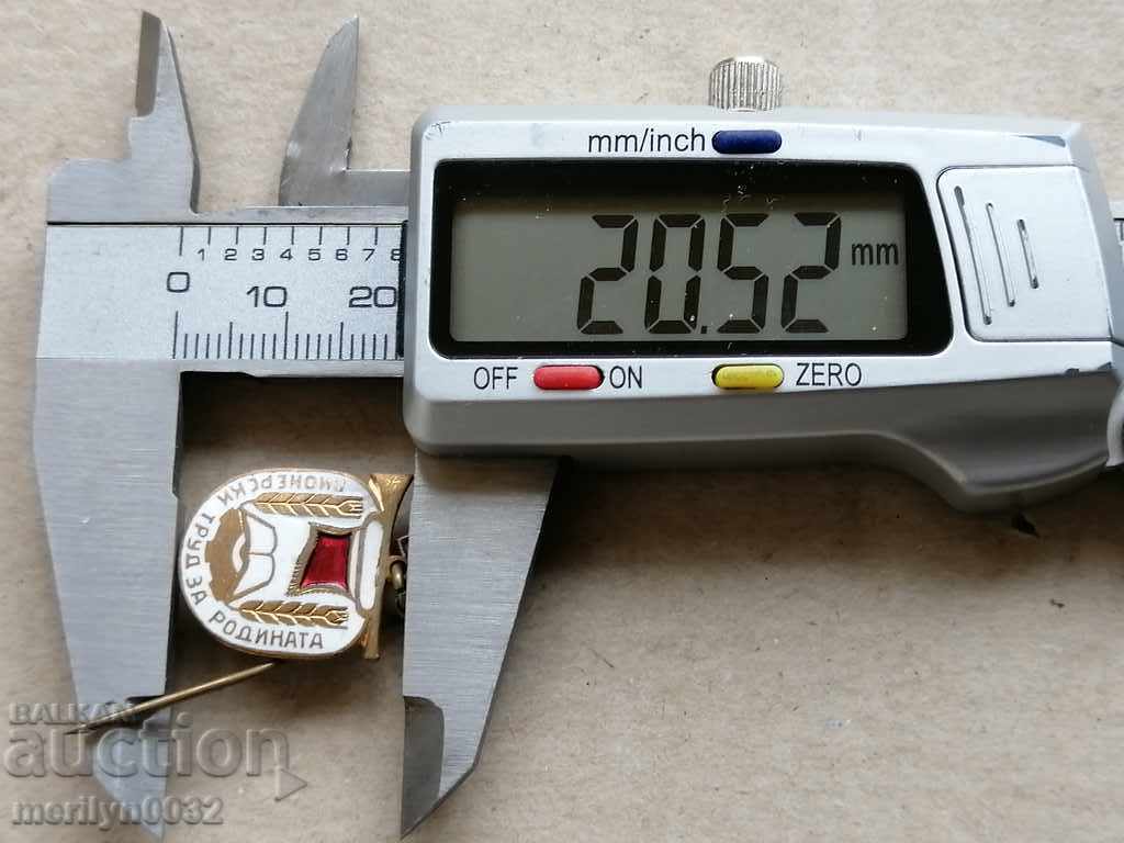 Birthday Badge Pioneer Work for the Motherland Medal Badge - 5 Birthday Badge Pioneer Work for the Motherland Medal Badge - 5