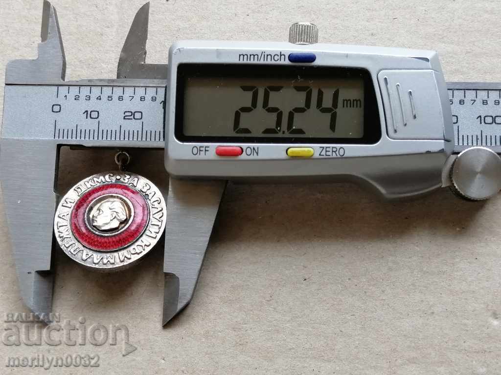 Delivery of Badge of Merit for Youth and the DKMS Medal Badge Delivery of Badge of Merit for Youth and the DKMS Medal Badge