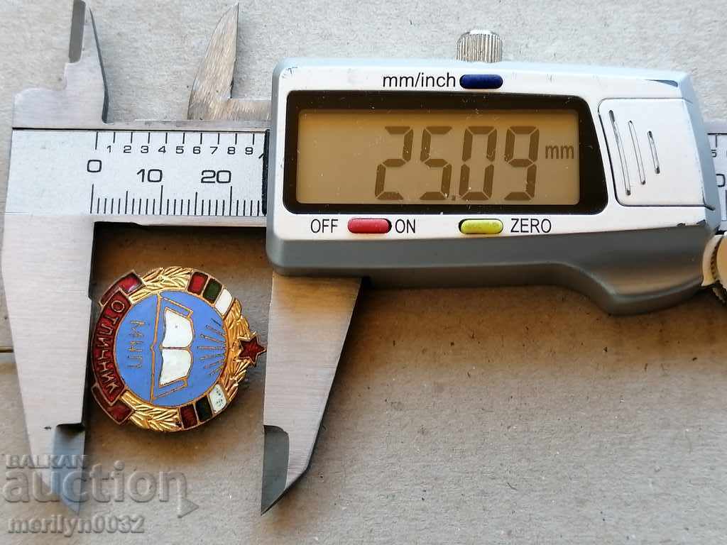 Badge of Excellence Medal Badge - 5