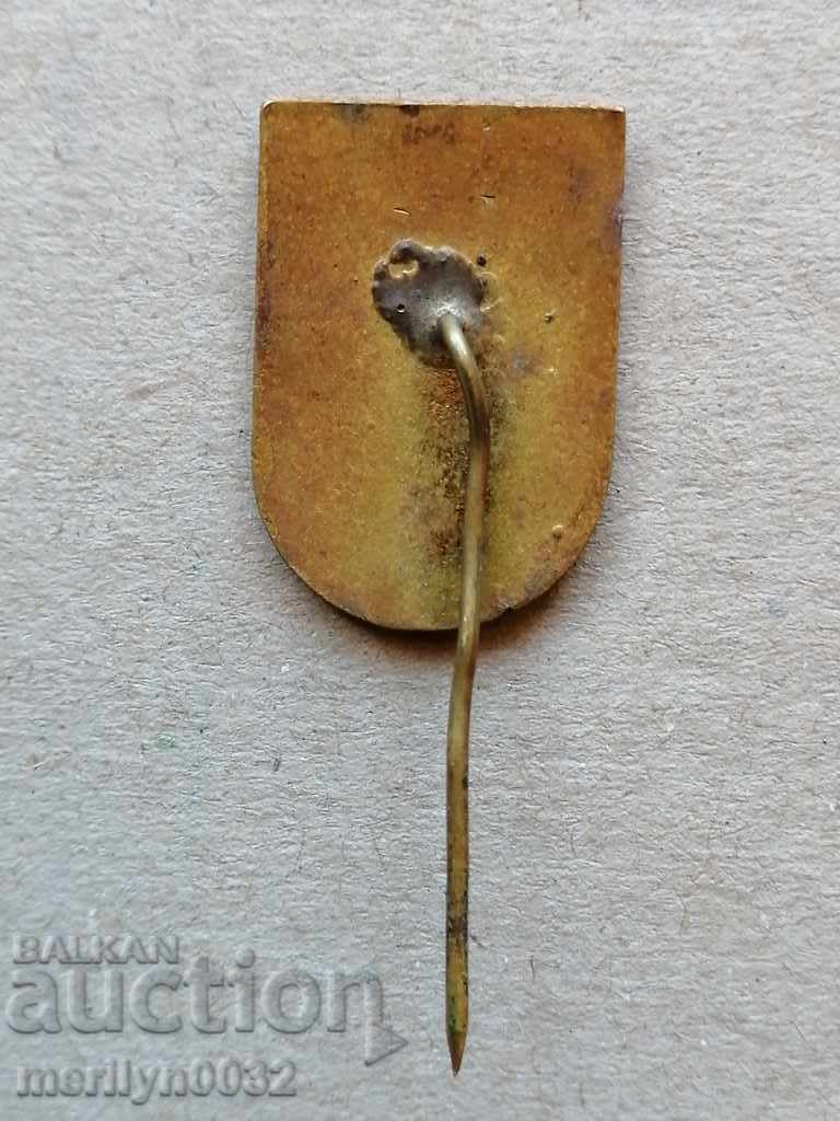 Auction Chestnut DSP Badge Homeland Medal Badge Auction Chestnut DSP Badge Homeland Medal Badge