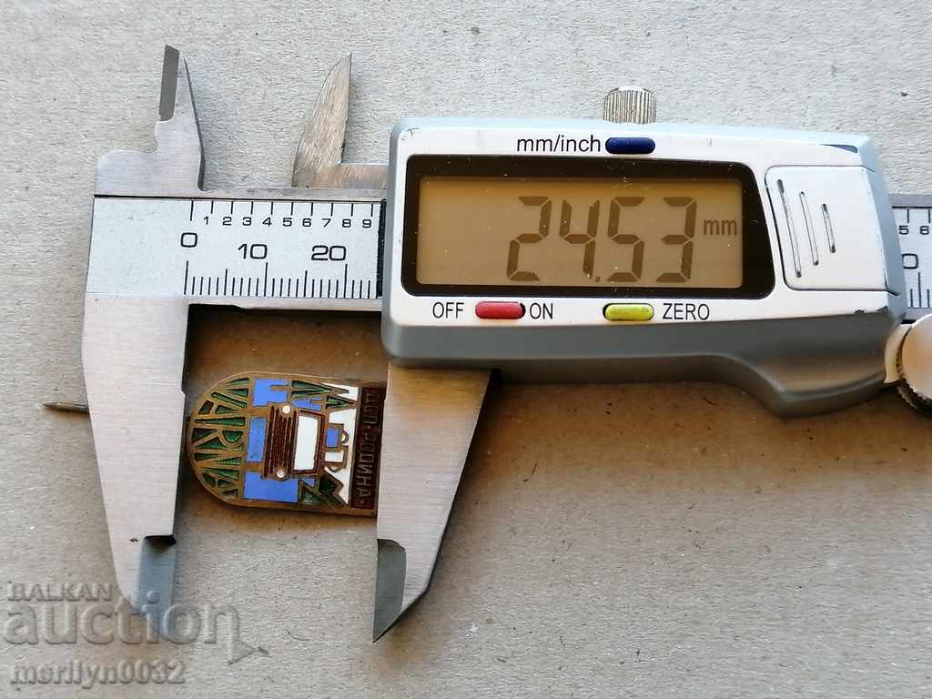 Chestnut DSP Badge Homeland Medal Badge - 5 Chestnut DSP Badge Homeland Medal Badge - 5