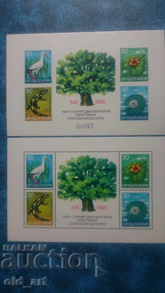 Mail. brands - Block Conservation of nature and environment