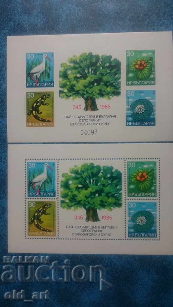 Postage stamps - Block Preservation of nature and the environment