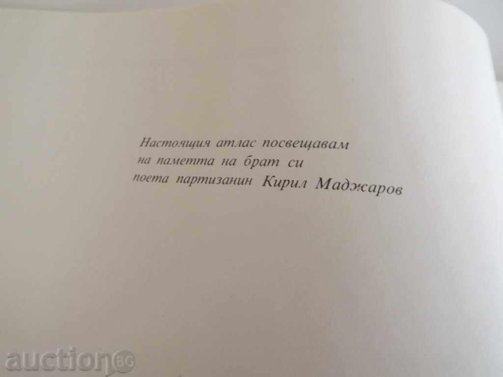 . ATLAS DENTAL X-ray DENTISTRY DENTIST DENTIST - 7