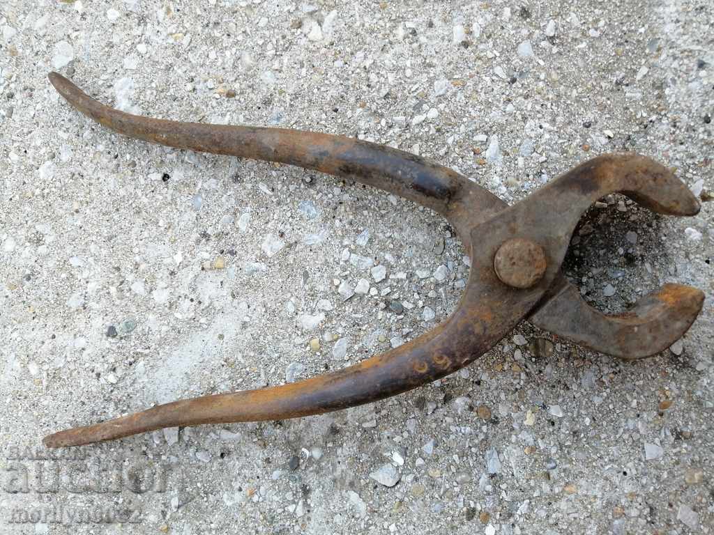 Vechile clești primitivi primitivi crăpați - 5