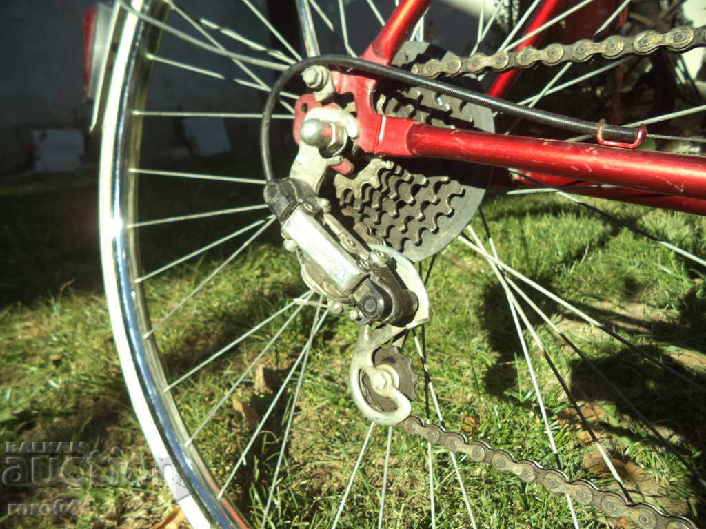 FISCHER GRAND PRIX RUNNER - TOP 100% AUTHENTIC - 5 FISCHER GRAND PRIX RUNNER - TOP 100% AUTHENTIC - 5