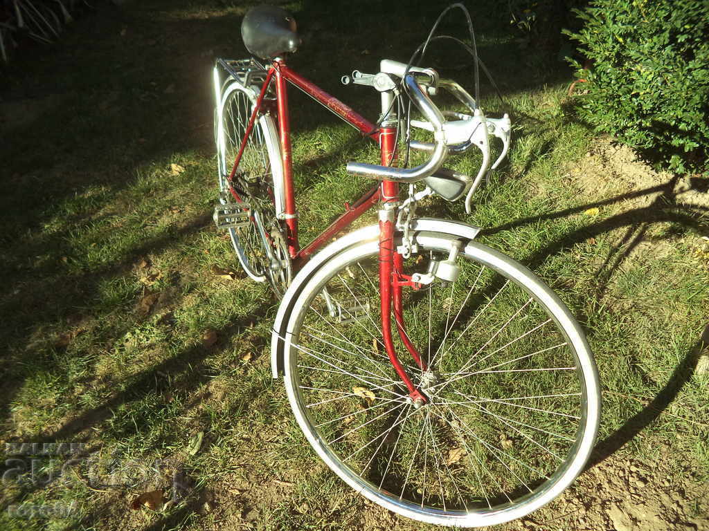 FISCHER GRAND PRIX RUNNER - TOP 100% AUTHENTIC - 6 FISCHER GRAND PRIX RUNNER - TOP 100% AUTHENTIC - 6