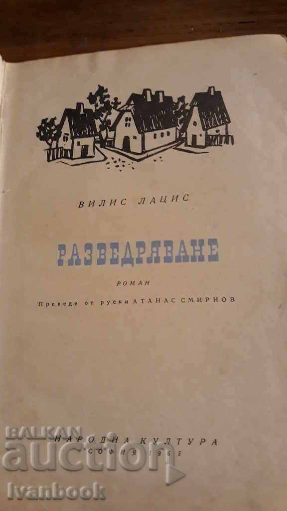 Auction Cheerleading - Willis Latsis Auction Cheerleading - Willis Latsis