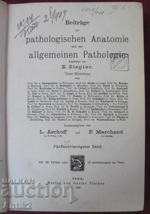 1909 Medical Book - Pathological Anatomy with price 96.00 BGN | € 49.08