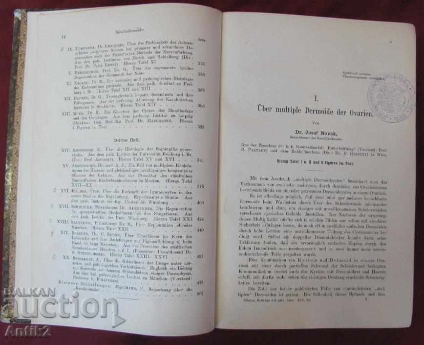 Auction  1909 Medical Book - Pathological Anatomy
