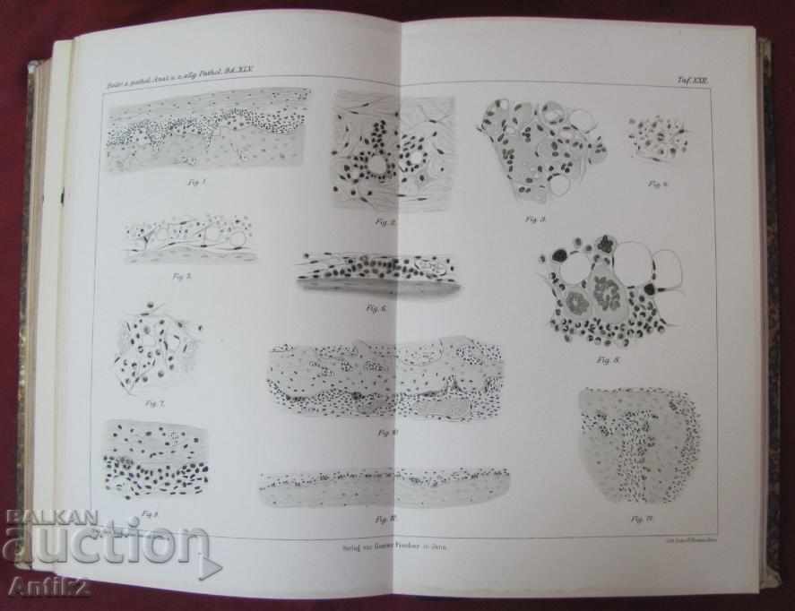 1909 Medical Book - Pathological Anatomy - 7