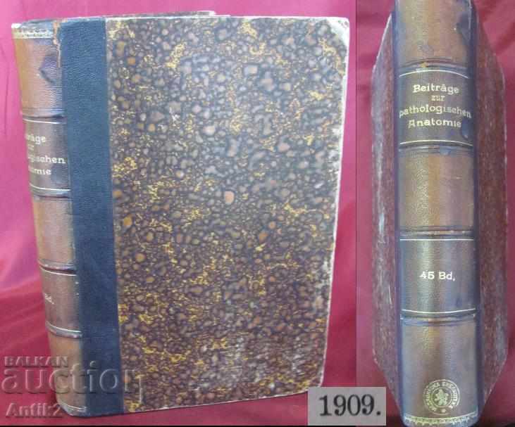 1909 Medical Book - Pathological Anatomy