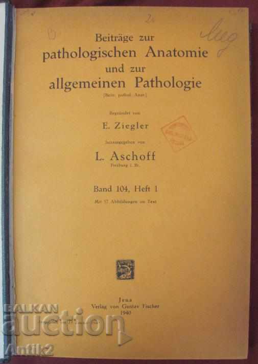 Auction 1940 Medical Book - Pathological Anatomy Auction 1940 Medical Book - Pathological Anatomy
