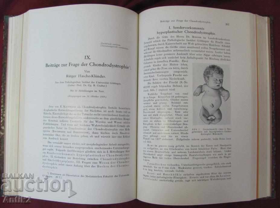 1940 Medical Book - Pathological Anatomy - 5 1940 Medical Book - Pathological Anatomy - 5