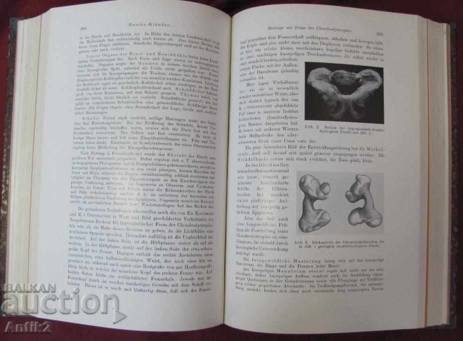 1940 Medical Book - Pathological Anatomy - 6 1940 Medical Book - Pathological Anatomy - 6