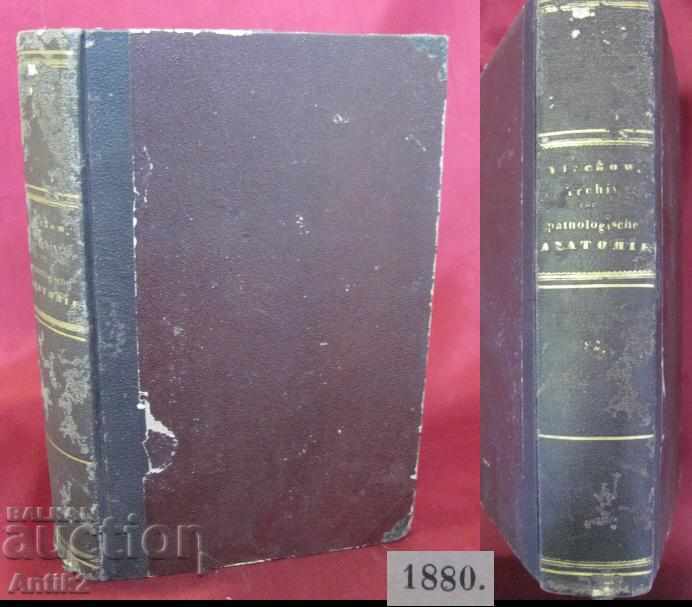 1880 Medical Book - Pathological Anatomy Germany