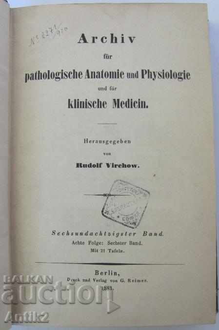 1881 Anatomy Medical Book Germany with price 108.00 BGN | € 55.22 1881 Anatomy Medical Book Germany with price 108.00 BGN | € 55.22