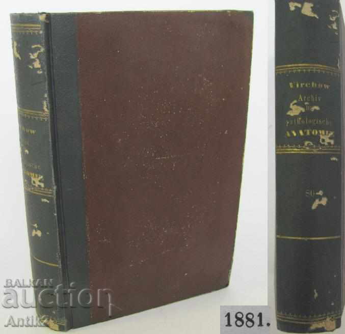 1881 Anatomy Medical Book Germany