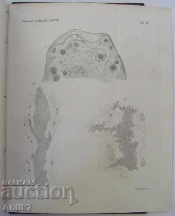Delivery of 1882 Anatomy Medical Book Germany Delivery of 1882 Anatomy Medical Book Germany