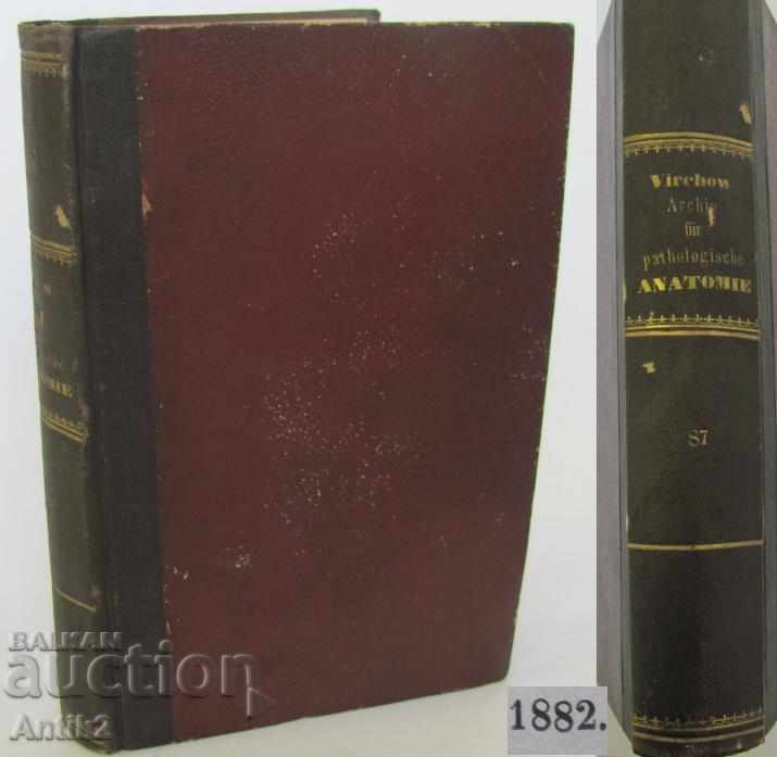 1882 Anatomy Medical Book Γερμανία