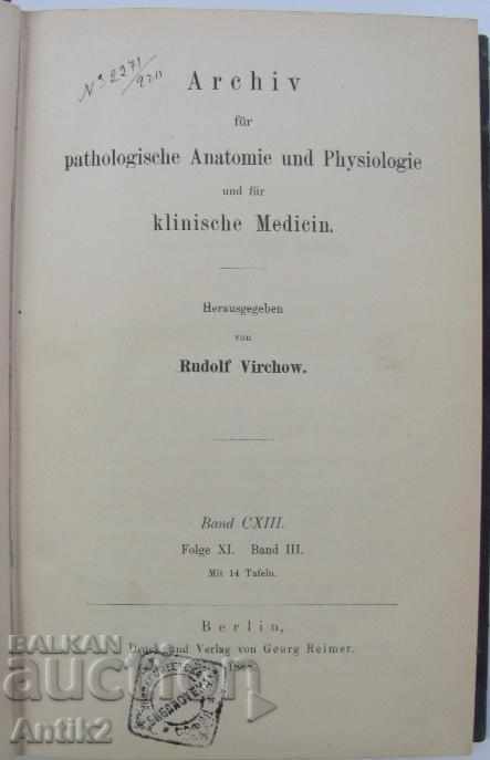 1888 Anatomy Medical Book Germany with price 108.00 BGN | € 55.22