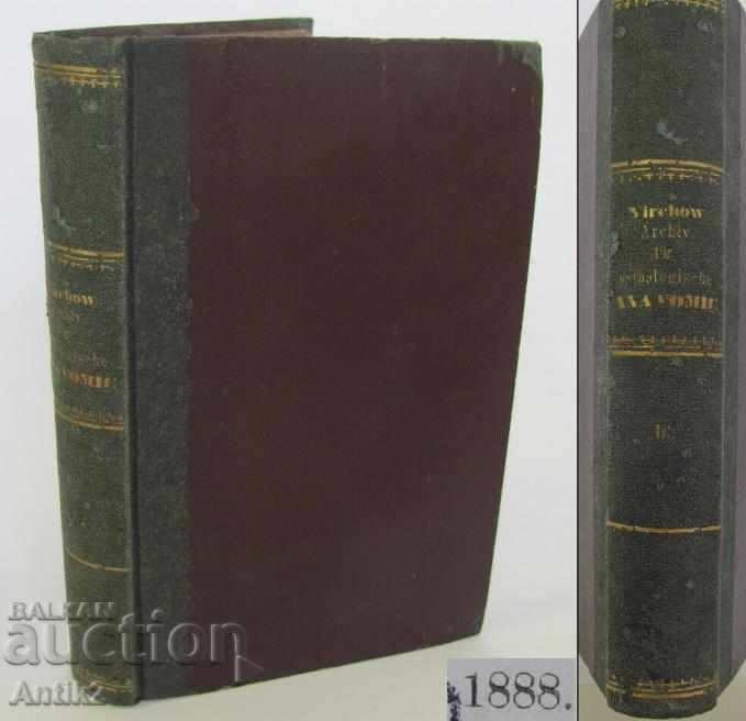 1888г. Медицинска Книга Анатомия Германия