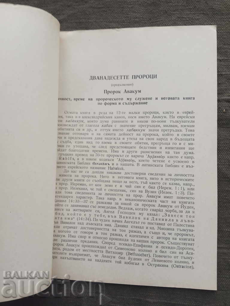 The Twelve Prophets. Ivan Markovsky with price 7.00 BGN | € 3.58