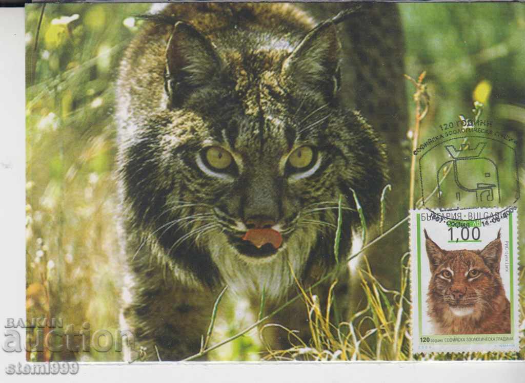 Καρτ ποστάλ FDC 120. Ζωολογικό Πάρκο Σόφια Εικ