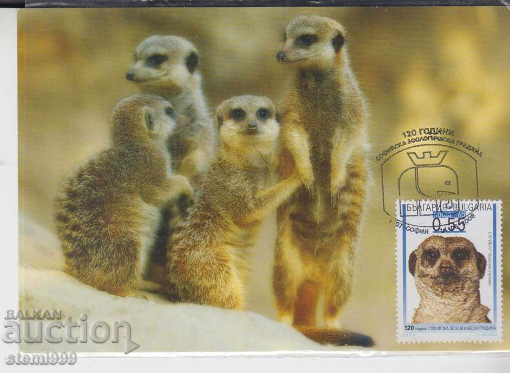 Postcard FDC 120. Sofia  Zoo Meerical