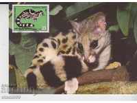 Пощенска карта FDC Екзотични хищници Животни Фауна